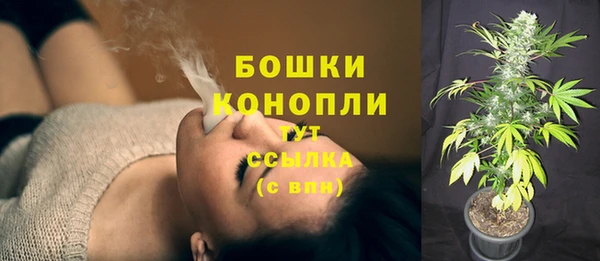 мдпв Горняк