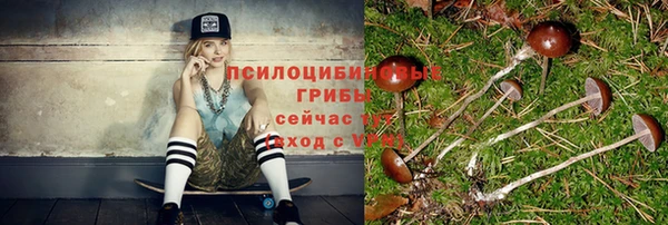 прущий лед Горно-Алтайск