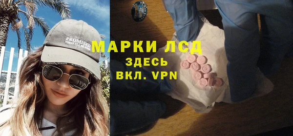 гидропоника Горнозаводск